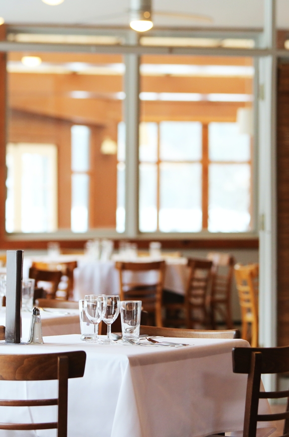 Control de plagues per a la restauració a Girona