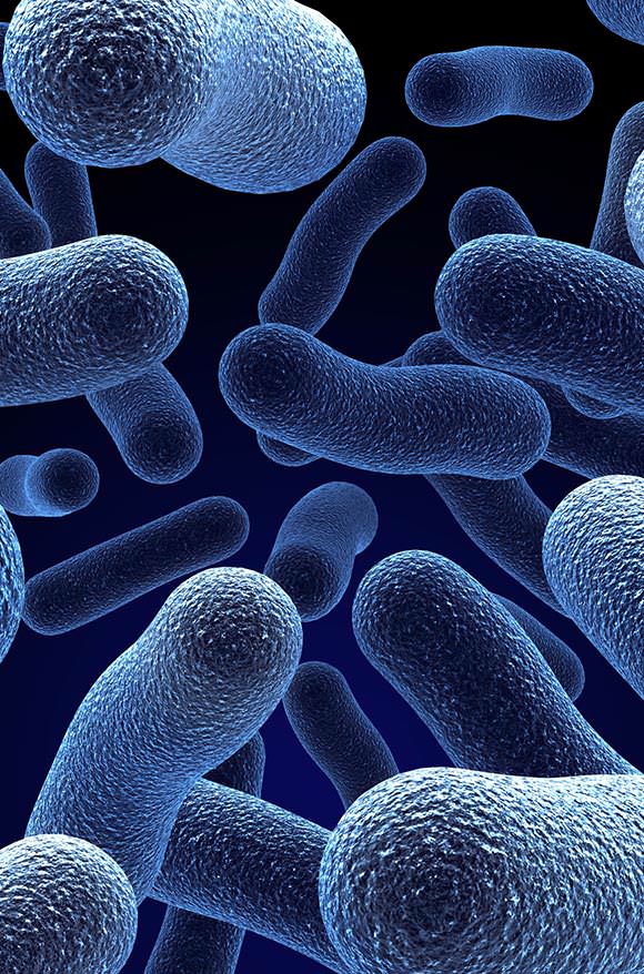 Control de Legionella en Girona: Prevención y Tratamiento Efectivo