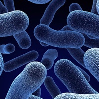 Tratamientos de legionella